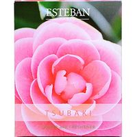 日本香堂 エスプリ ド ナチュール ツバキリキッド 4902125520677 1個（直送品）