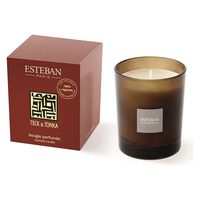 日本香堂 テッケトンカ キャンドル 4902125540125 1個（直送品）