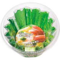 三菱アルミニウム レタスケース小玉 4902951730127 1個(18枚)（直送品）
