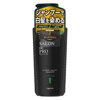 ダリヤ サロンドプロ　メンズカラーシャンプー　スカルプケア　＜ダークブラウン＞ 4904651124398 1個(250ML)（直送品）