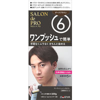 ダリヤ サロンドプロ ワンプッシュメンズカラー（白髪用） 6＜ダークブラウン＞ 4904651182824 1個（直送品）