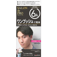 ダリヤ サロンドプロ ワンプッシュメンズカラー（白髪用） 6A＜深みのあるアッシュブラウン＞ 4904651182831 1個（直送品）