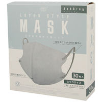 富士 レイヤースタイルマスク_1