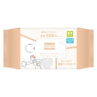 丸住製紙 エミナスウェットティッシュ頼れるソフトシート厚さ150％ノンアルコール 4948258007586 1個(40枚)（直送品）