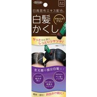 東京企画販売 日高白髪かくしNダークブラウン 4949176022460 1個(20G)（直送品）