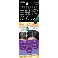 東京企画販売 日高白髪かくしNブラック 4949176022477 1個(20G)（直送品）