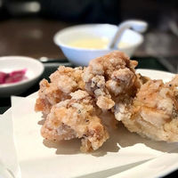 プラム チャイニーズビストロ蘭亭 蘭亭のジャンボ唐揚げ2袋 RK2 1箱（直送品）