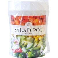 小久保工業所 サラダポット 4956810804955 1個（直送品）