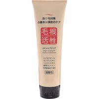 ジュン・コスメティック スキャルプクリアトリートメント 4964653101254 1個(250G)（直送品）