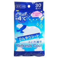 コーヨー化成 ー４℃ひんやりシートせっけんの香り３０枚 4972453418274 1個(30枚)（直送品）