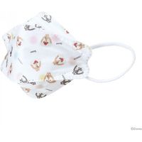 スケーター 立体マスク子供用チップ＆デール MSKSH3 4973307575617 1個(5枚)（直送品）