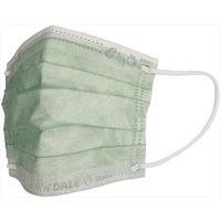 スケーター 不織布マスクチップ＆デール MSKPE4 4973307574238 1個(10枚)（直送品）