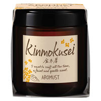 晴香堂 アロマスト　キンモクセイ 4976363138925 1個(160ML)（直送品）