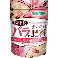 nC|lbNXWp oCt ô܂엿 4977517101512 1(300G)iij