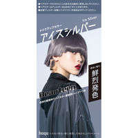 ホーユー ビューティーン　メイクアップカラー　アイスシルバー 4987205013164 1個（直送品）