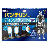 興和 バンテリンコーワアイシングシート 4987973213988 1個(12枚)（直送品）