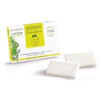 日本香堂 インテリアガーデンナチュール　レモングラス＆ミント　カーフレグランスリフィル 3660963096808 1パック(2個入)（直送品）