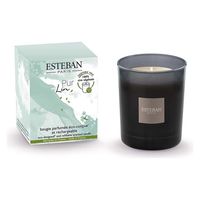 日本香堂 ピュアリネン　キャンドル 3660963097676 1個（直送品）