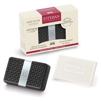 日本香堂 ＥＳＴＥＢＡＮ（エステバン）エスプリドテ　カーフレグランス 3660963091254 1個（直送品）