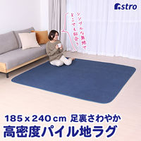 プレーベル ラグ ゼクス 幅1900×奥行2400mm ベージュ 1枚（直送