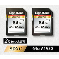 Delkin（デルキン） 128GB POWER SDXC UHS-II (U3/V90) SDカード