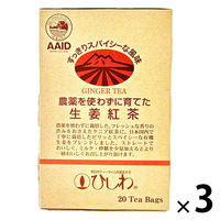 農薬を使わずに育てた生姜紅茶ティーバッグ 1セット（1箱（20バッグ入）×3）