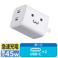 USB[d RZg ^CvC PD 45W USB-C×2 낿 MPA-AC10945WF GR 1iij