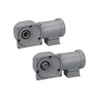 ニッセイ インダクションギアモータ MIDシリーズ F/F3タイプ(中空軸・中実軸) FF40L240-MR08TKNTN 1個（直送品）