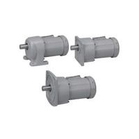 ニッセイ インダクションギアモータ MIDシリーズ G3タイプ(平行軸) G3F28N25-ER08TWJTN 1個（直送品）