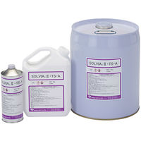C`lTASCO }zǐ(SOLVIA2)4kg TA903TA-4 1iij