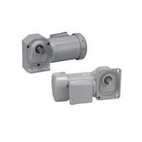 ニッセイ インダクションギアモータ MIDシリーズ H2タイプ(直行軸) H2L50M375-WR08TDNEV4 1個（直送品）