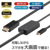 ラトックシステム RATOC USB TypeーC to HDMI 変換ケーブル(PD対応・2m) RS-UCHD4K60-2M 1個（直送品）