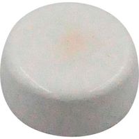 マグナ MAGNA 教材用マグネット マグネットメモホルダー18φ白 6-10185 1個 450-0189（直送品）