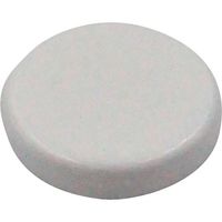 マグナ MAGNA 教材用マグネット マグネットメモホルダー30φ白 6-10305 1個 450-0182（直送品）