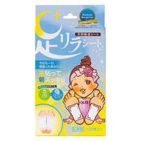 足リラシート 30枚入 ローズ 1個 中村