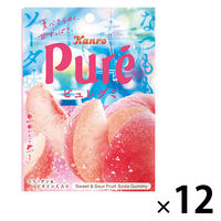 グミ 食べきりサイズ カンロ ピュレグミ なつももソーダ 52g 1セット(1個×12) カンロ