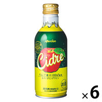 【アウトレット】メルシャン　おいしい酸化防止剤無添加ワイン　シードル缶　290ml　1セット（6本）