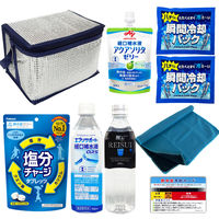 楽天市場】【熱中症対策/暑さ対策】 重松 個人用冷却器