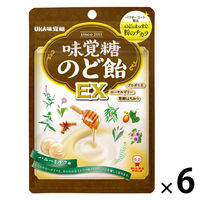 のど飴 キャンディ 味覚糖 のど飴EX 90g 1セット(1個×6) UHA味覚糖