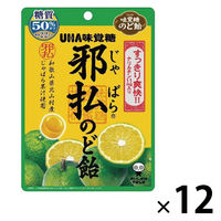 キャンディ 邪払のど飴 糖質50%オフ 約16粒入 72g 1セット（1個×12）