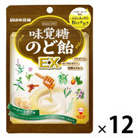 のど飴 キャンディ 味覚糖 のど飴EX 90g 1セット(1個×12) UHA味覚糖