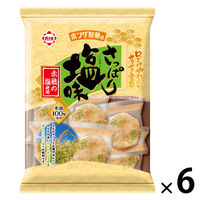 せんべい 個包装 お配り菓子 さっぱり塩味 赤穂の塩使用 74g 1セット(1個×6) ホンダ商事