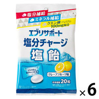 塩分補給 塩分対策 個包装 エブリサポート 塩分チャージ塩飴 20粒入 80g  1セット(1個×6) 日本薬剤