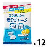 塩分補給 塩分対策 個包装 エブリサポート 塩分チャージ塩飴 20粒入 80g  1セット(1個×12) 日本薬剤