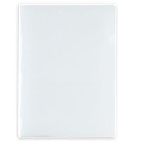 プラス クリアーホルダーA4 FL-213HO 1パック(10枚入)（わけあり品）