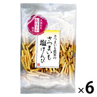かりんとう 芋けんぴ 塩けんぴ 100g 1セット(1個×6) クリート