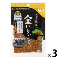 ごましおページ hamaotome_606037