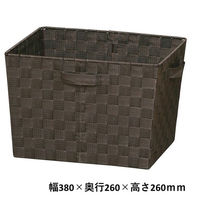 アイリスオーヤマ カラーバスケット 深型 ブラウン CBK-38D（538752） 1個（わけあり品）