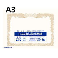 オキナ OA対応賞状用紙 10枚入り SX-A3 1パック（わけあり品）