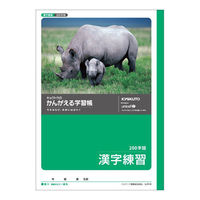 日本ノート かんがえる学習帳 漢字練習 200字 B5 L414 1冊（わけあり品）